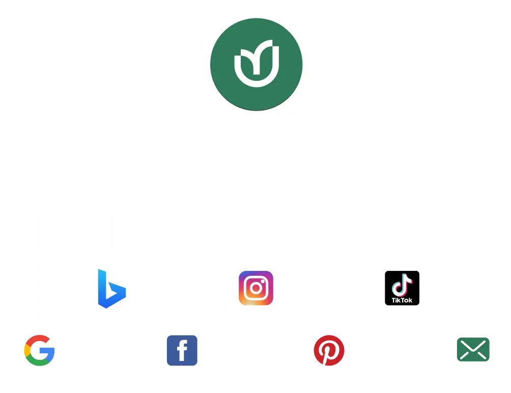 Digital Marketing Service - Rankupper Hero Image